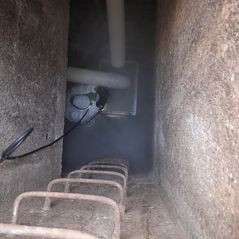 Limpieza de Canastillos y Fabricación